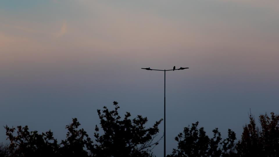 Lenkje til artikkel: Vedlikehaldsarbeid av gatelys
