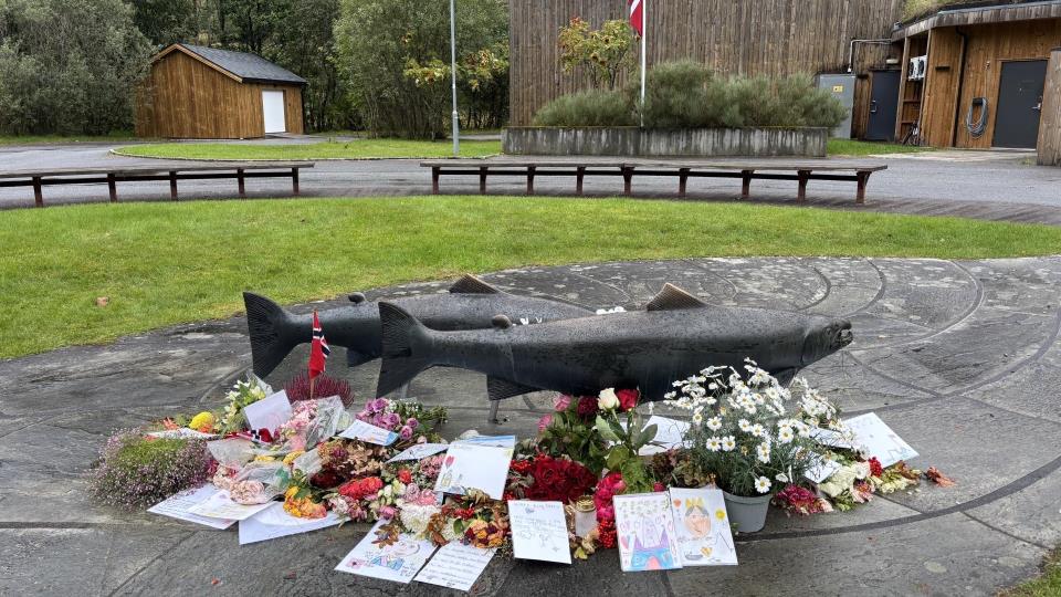 Lenkje til artikkel: Blomar til minne om Kong Harald V