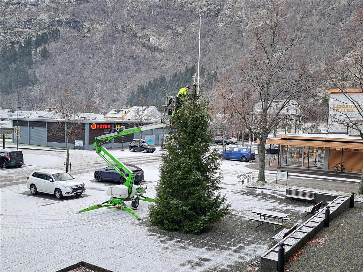 Her blir juletreet før jula 2024 sett opp - Klikk for stort bilete