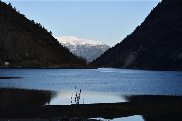 Lenkje til artikkel: Bli med på ryddedugnaden for ein rein Sognefjord 10. september